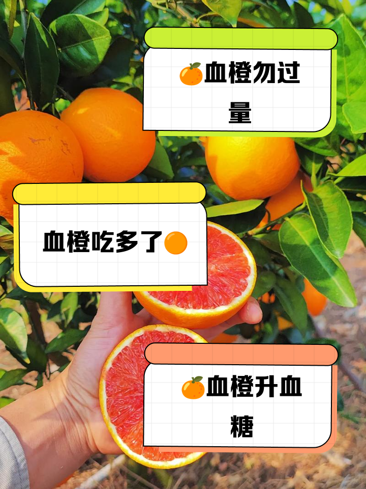 血橙吃多了会怎么样