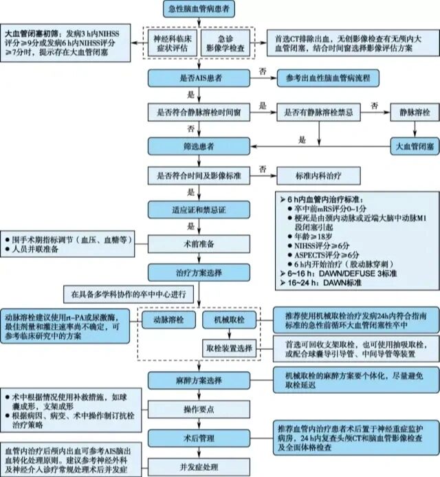 脑卒中处理流程图图片