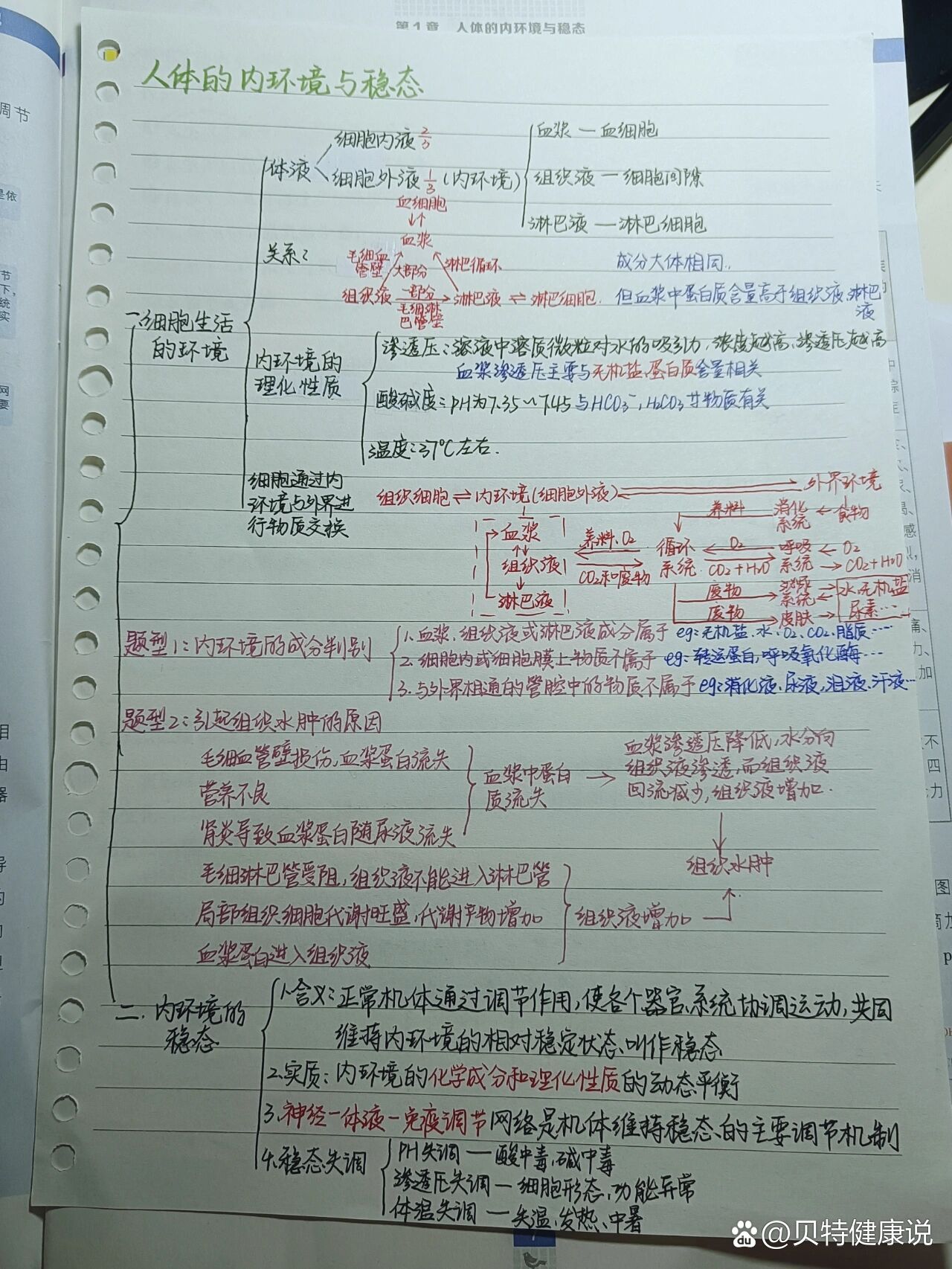 内环境思维导图图片