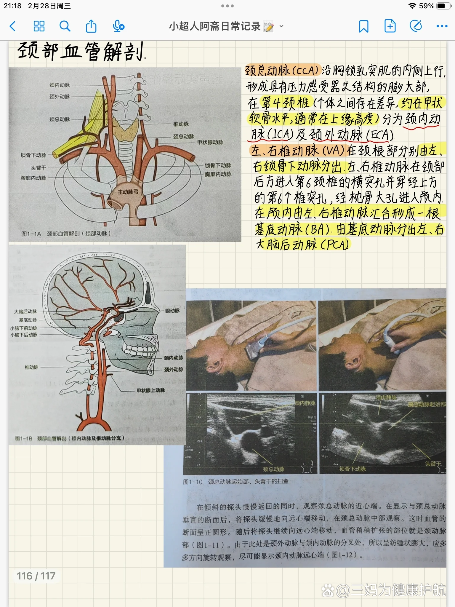 超声笔记:颈部血管怎么看?