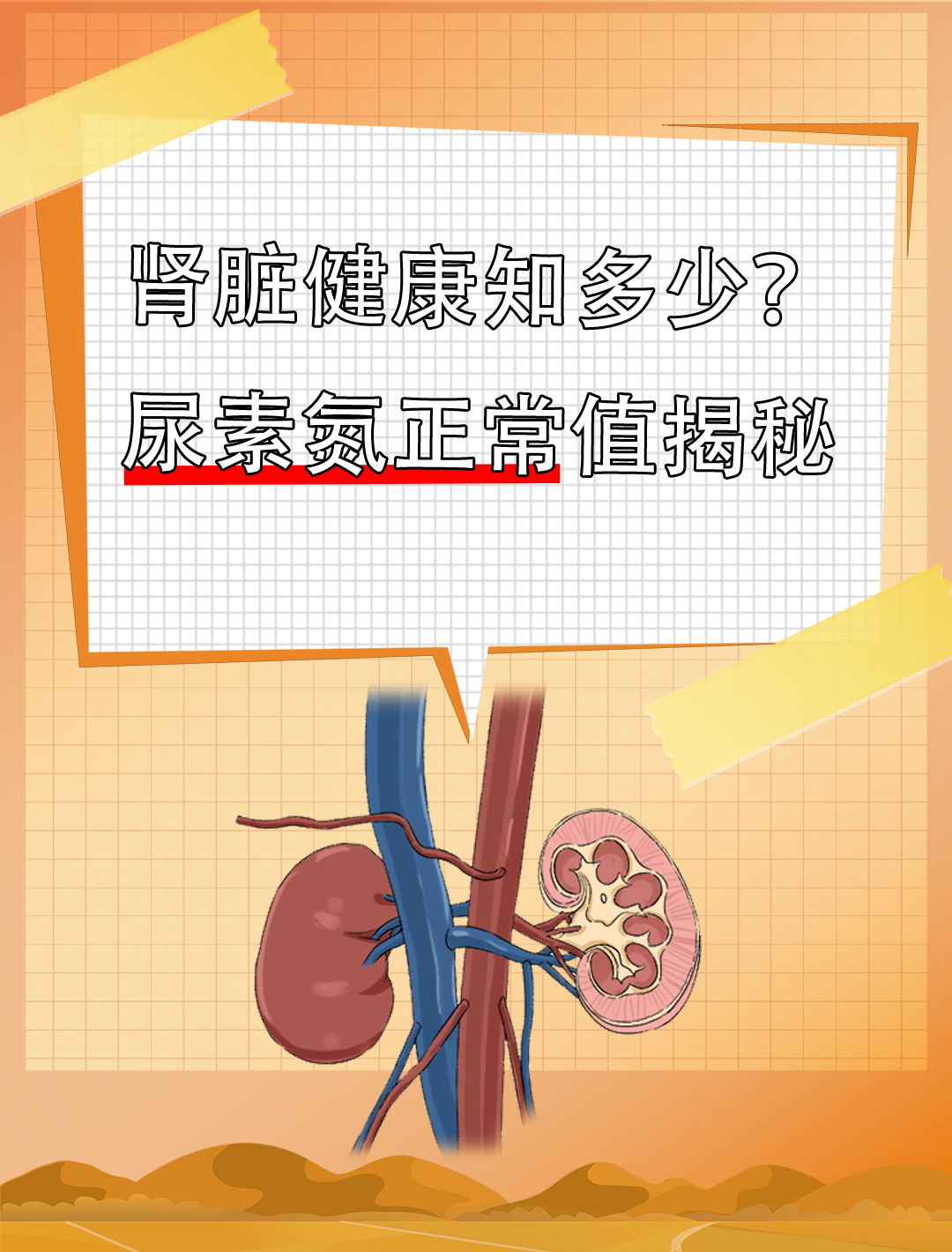 尿素氮正常值大揭秘,你了解吗?