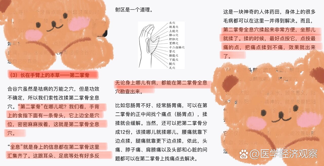 第二掌骨全息穴—-身上哪里痛都可以按此处