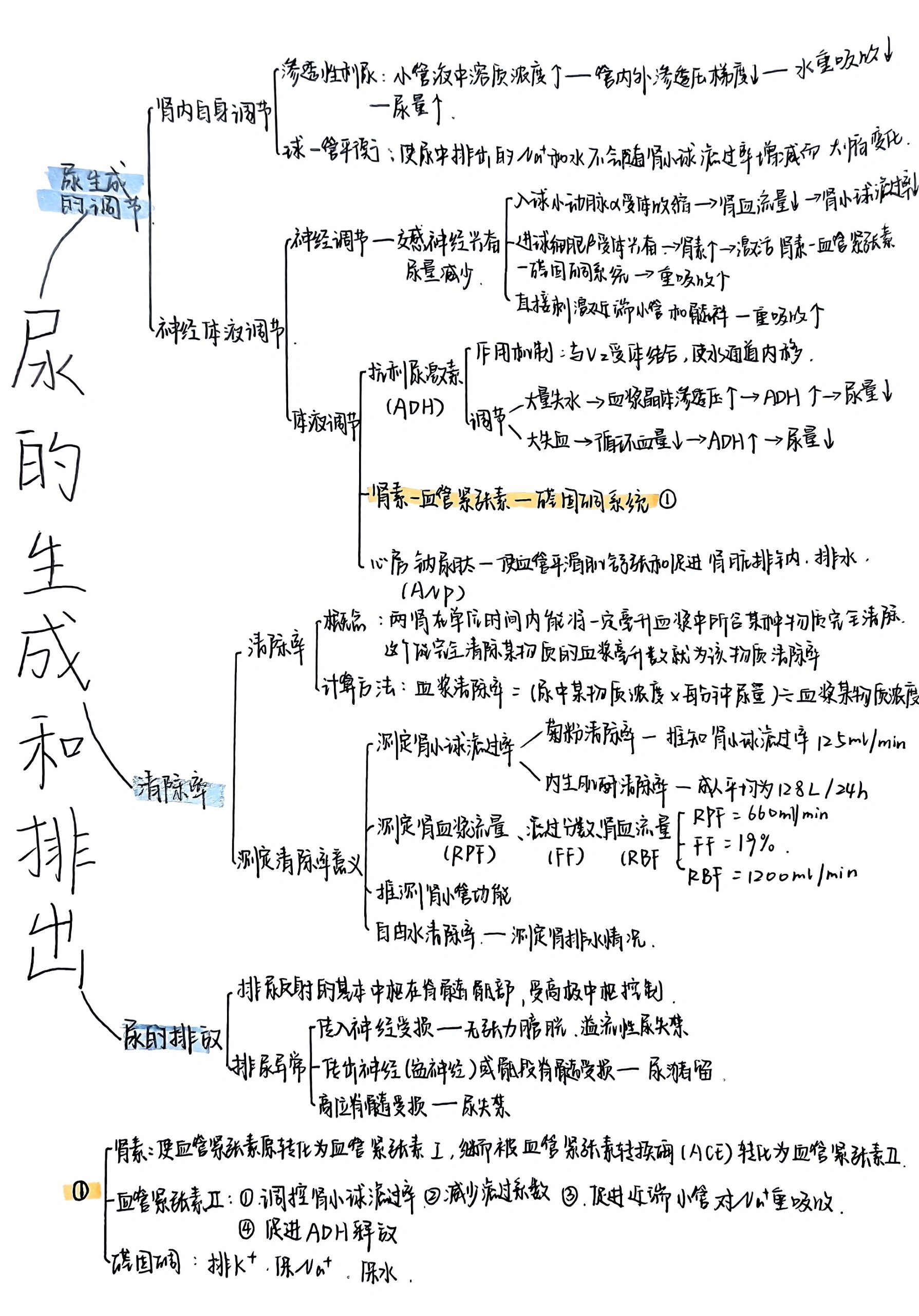 生物的排泄思维导图图片