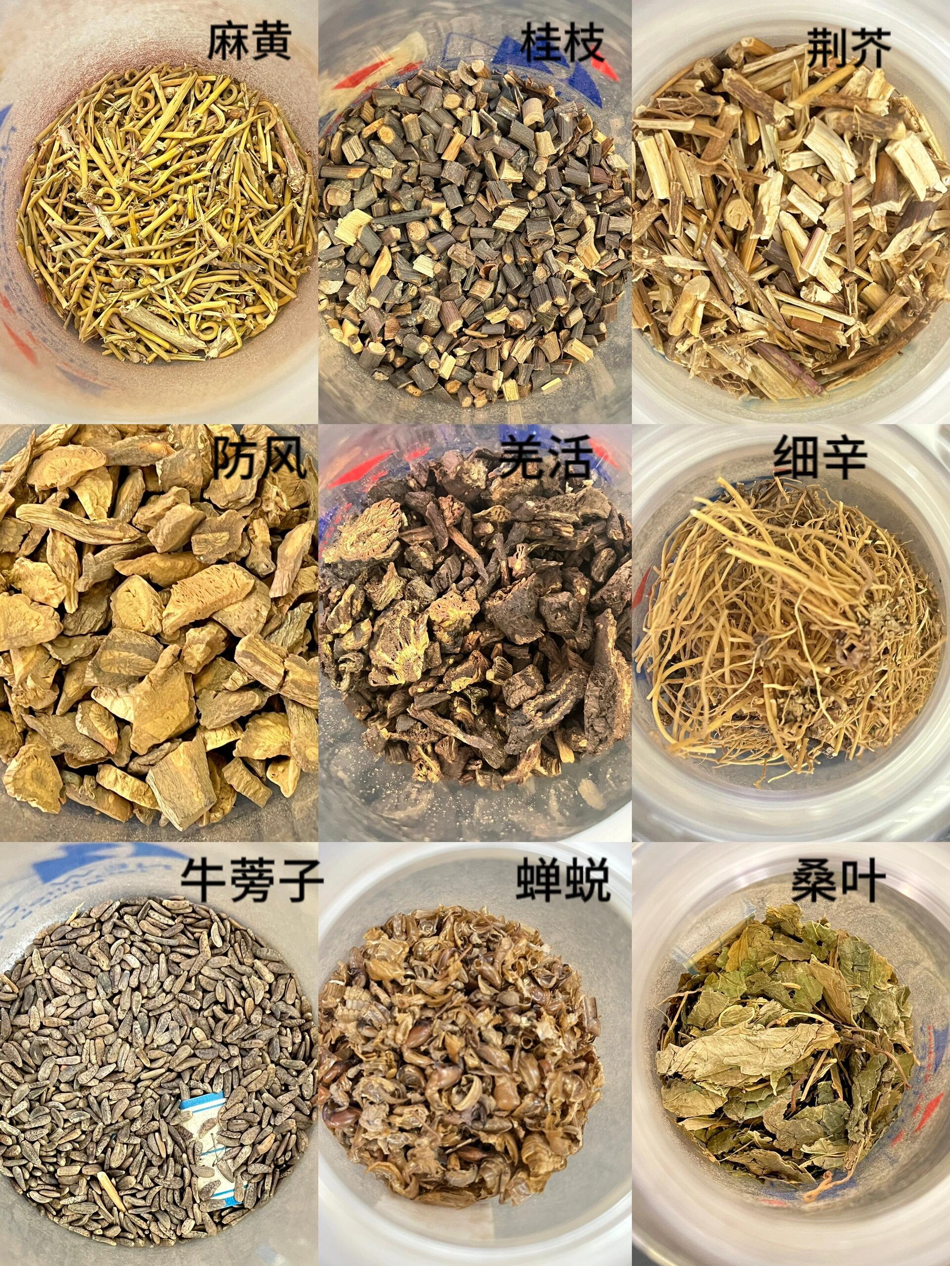 br 考 药材名称 辨识要点2～3个   青皮 车前子 紫苏子 干姜 通草