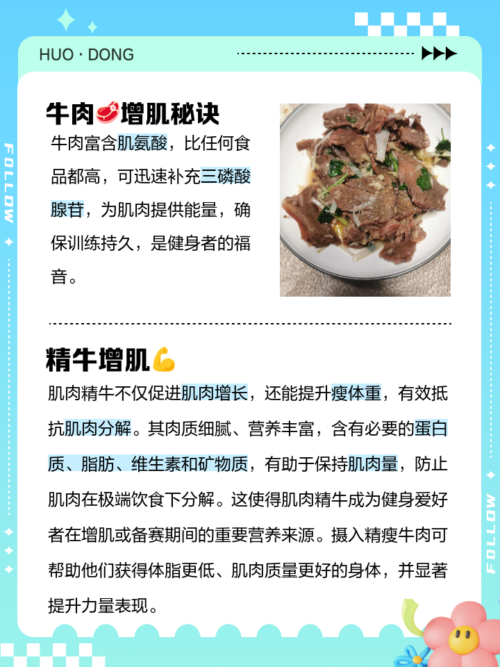 肌肉精牛的作用