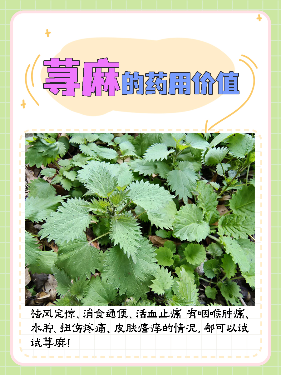 和荨麻"亲密接触"之后咋办?