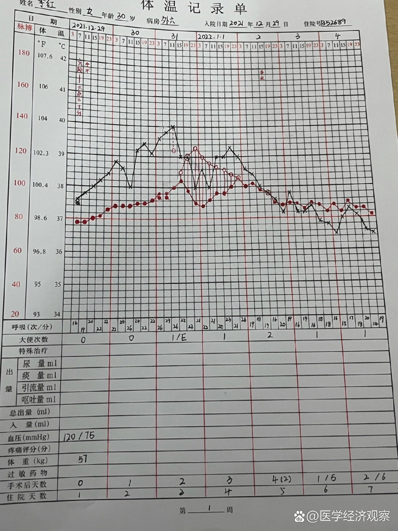 护理体温记录单