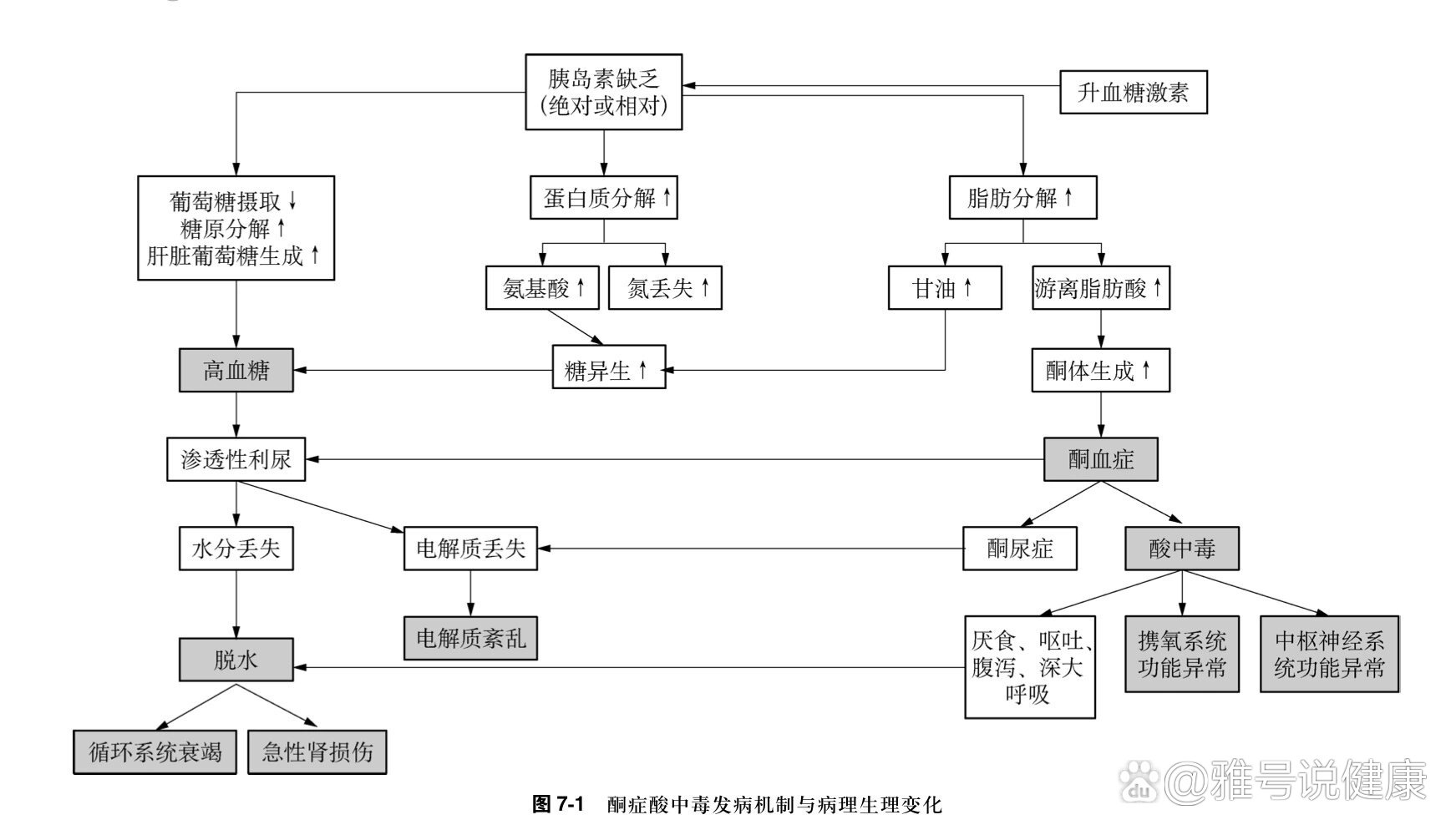 亚硝酸盐中毒机制图片