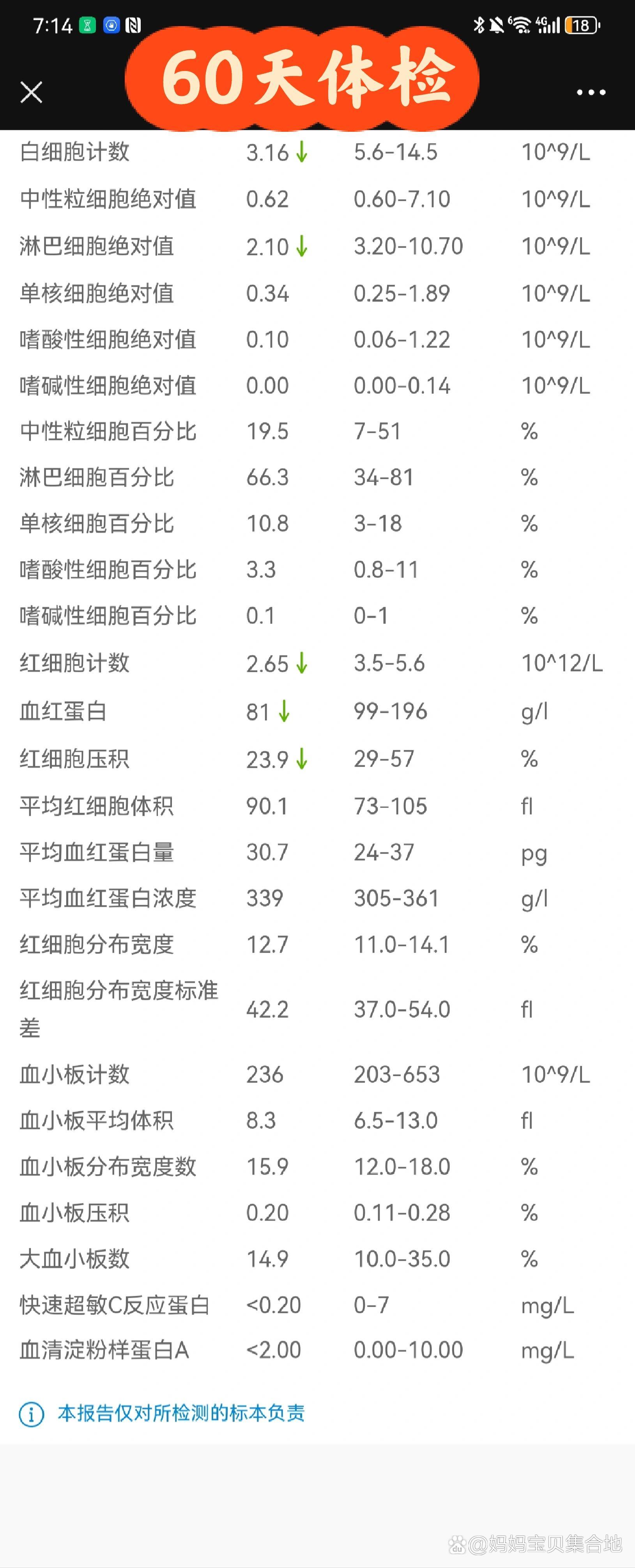 儿童血常规化验单图片图片