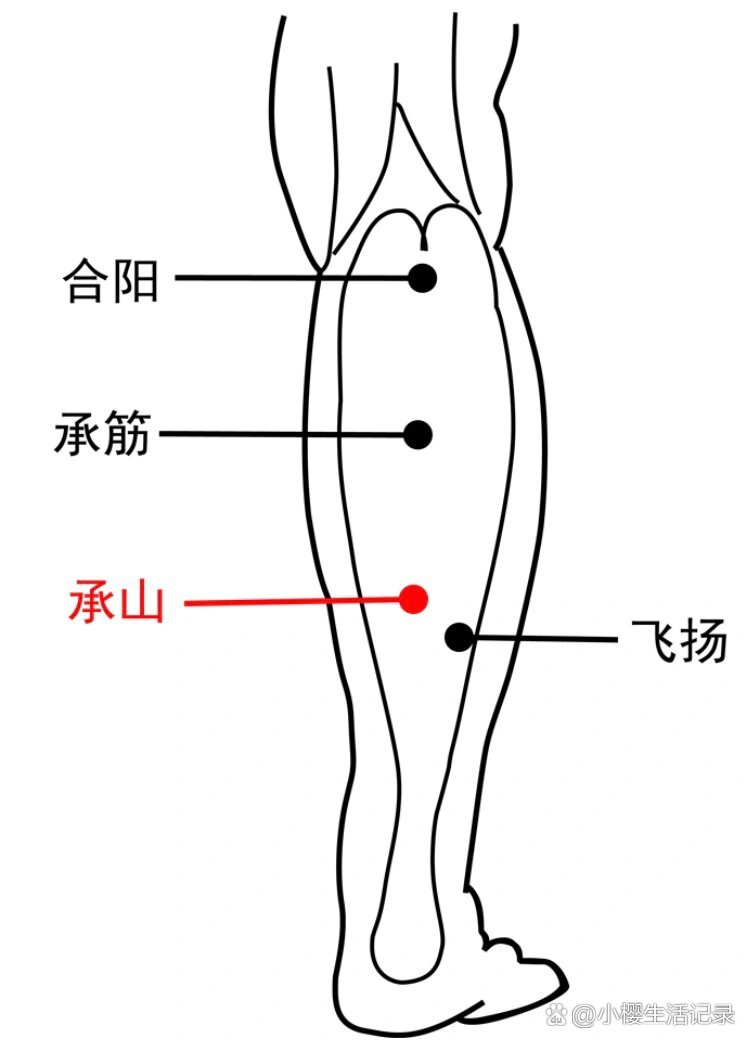 承山的准确位置图图图片