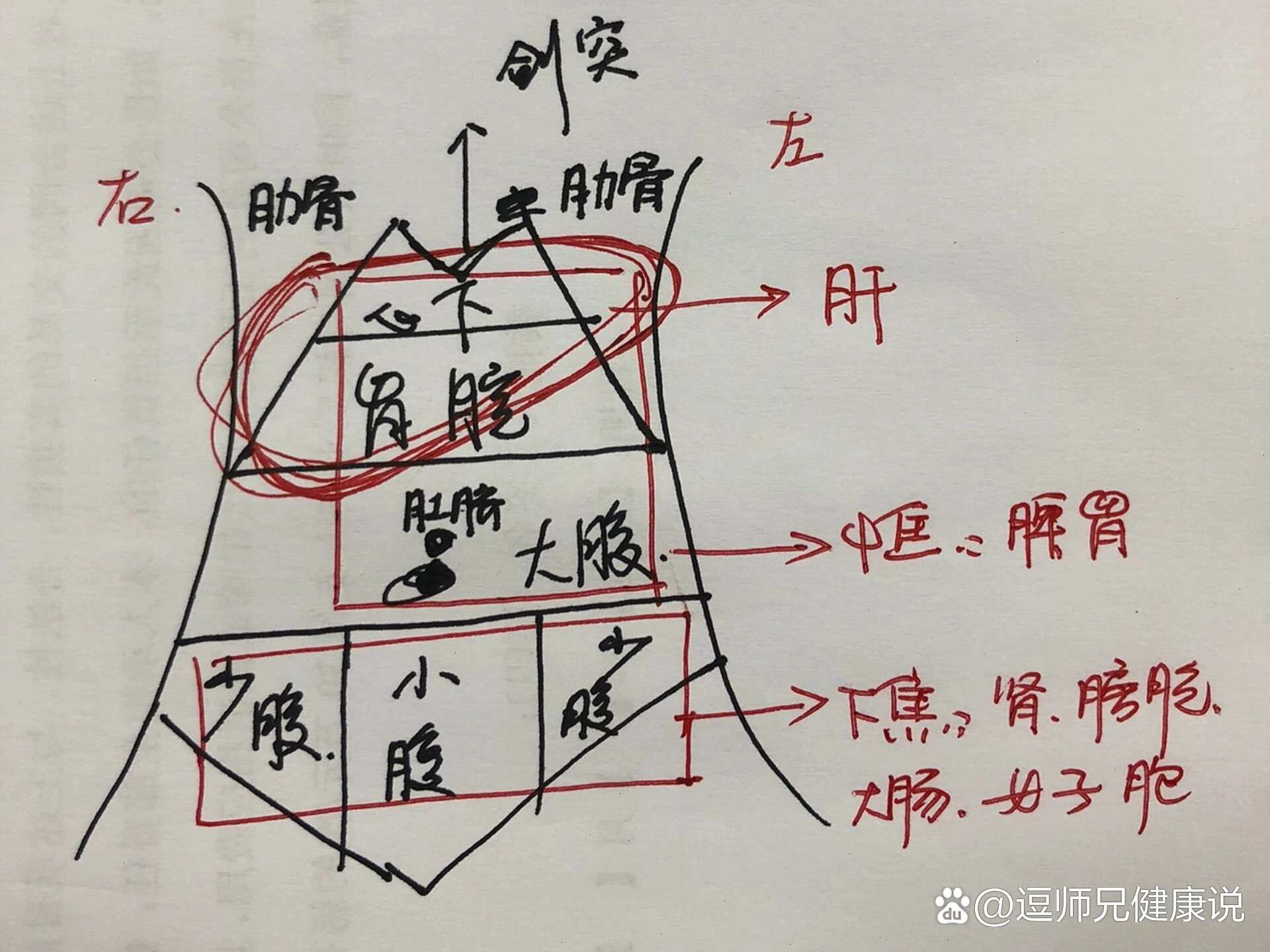 中医上腹部分区