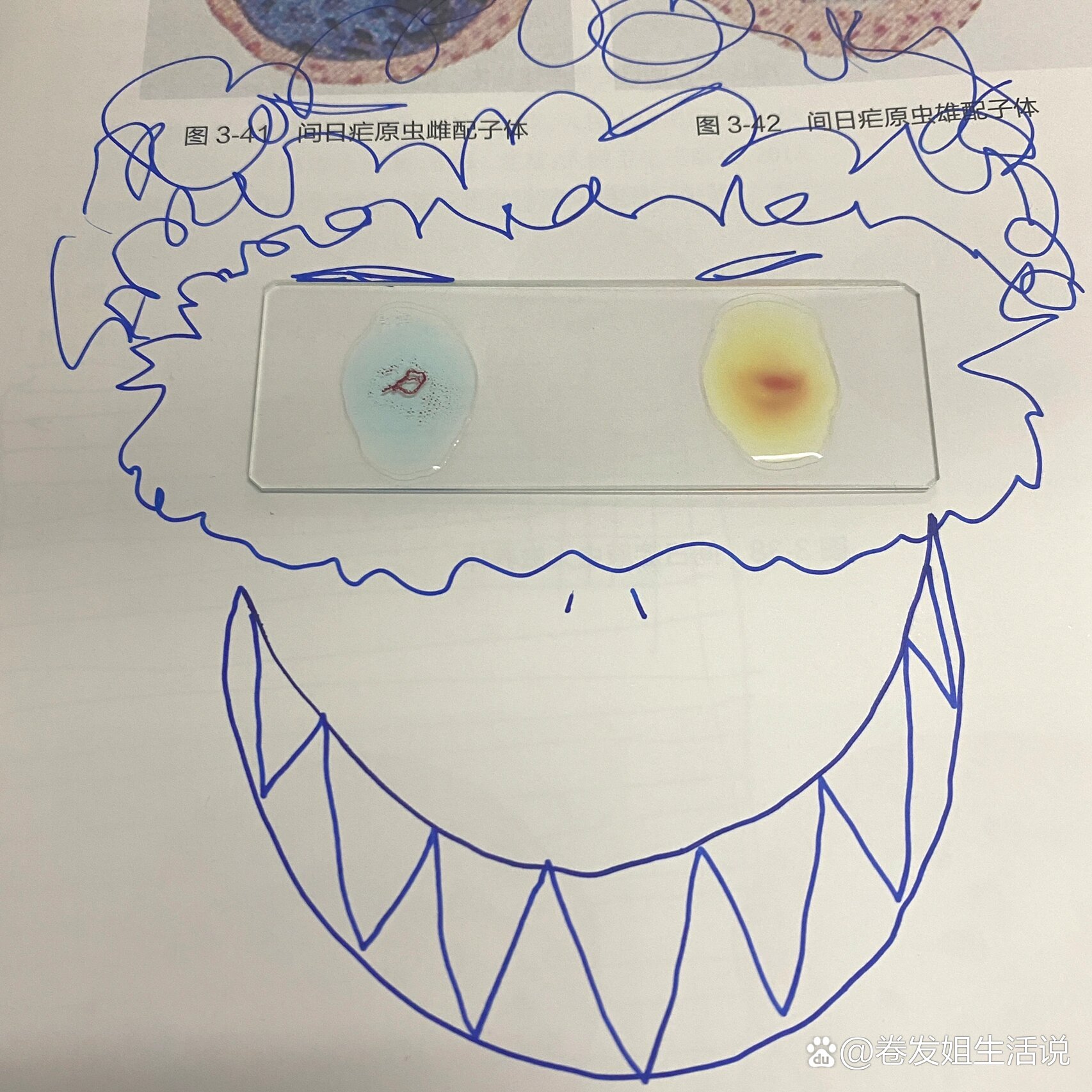  p>给大家表演个测血型 br>好吧其实是上实验课讲到的凝集反应? /p>