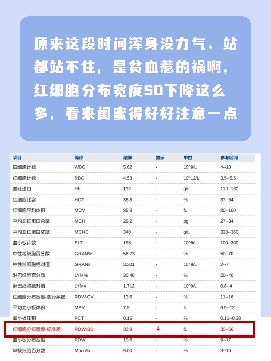 红细胞分布宽度sd,是个啥子东东?