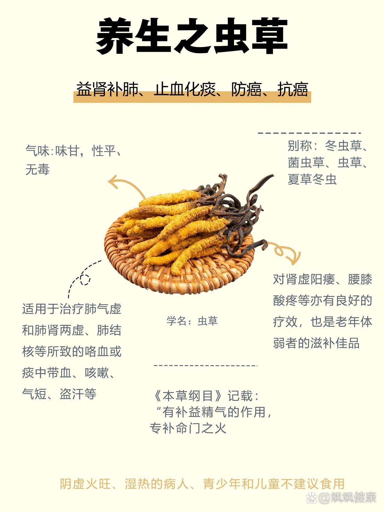 养生之虫草