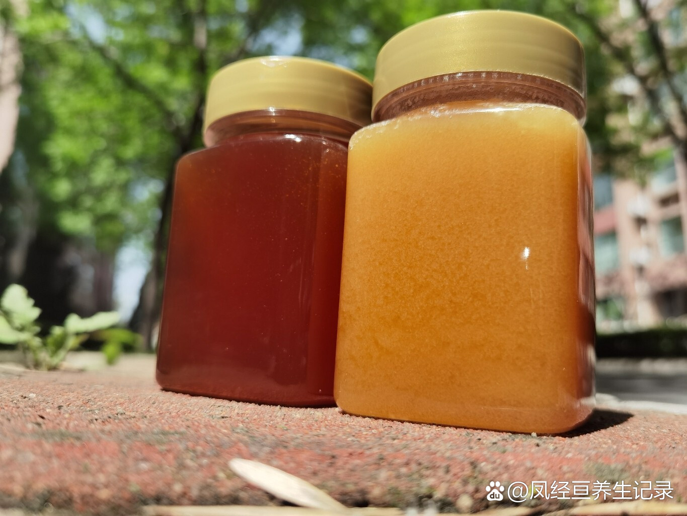 病人梦见蜂蜜(昨晚梦见蜂蜜好不好?)