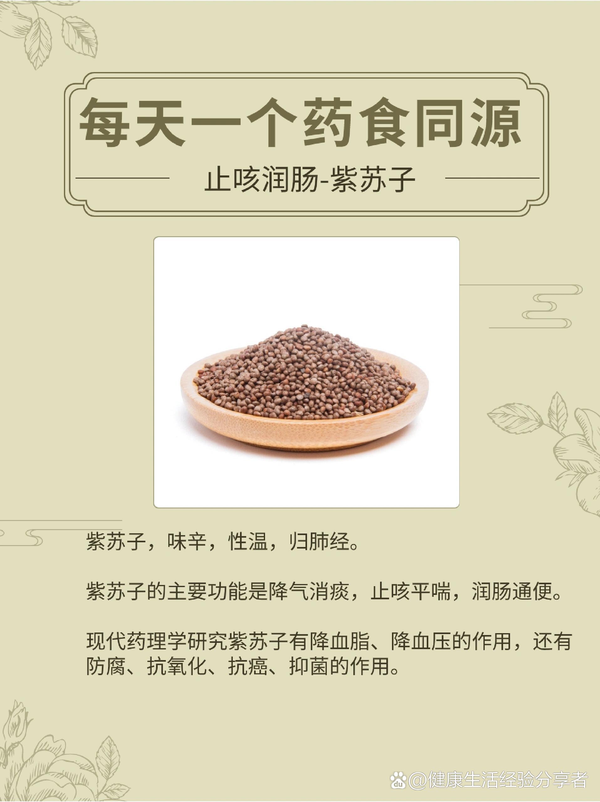 每天一个药食同源|紫苏子养生功效及食疗方