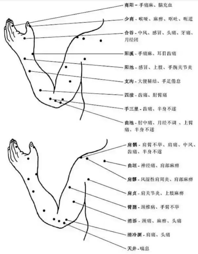 手臂部位图解 叫法图片