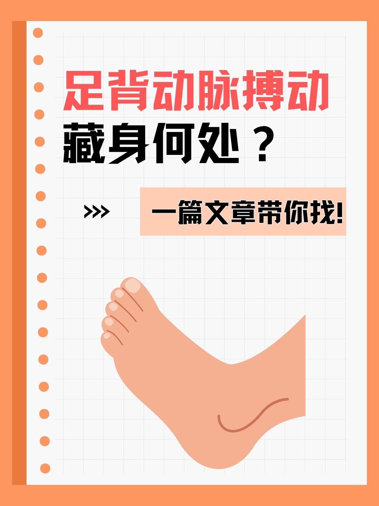 足背动脉搏动藏身何处?一篇文章带你找!