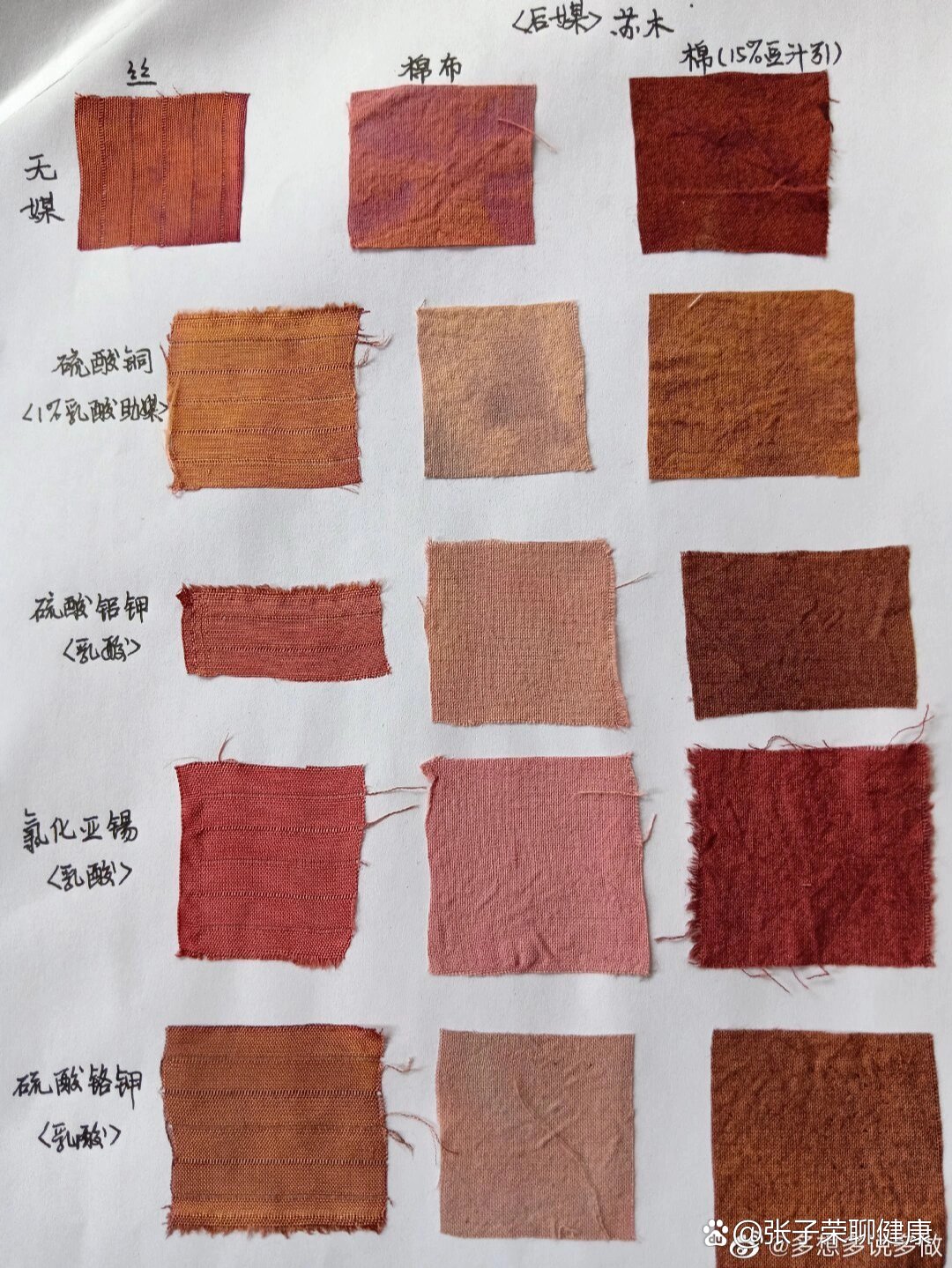 植物染染色实验——苏木染色卡