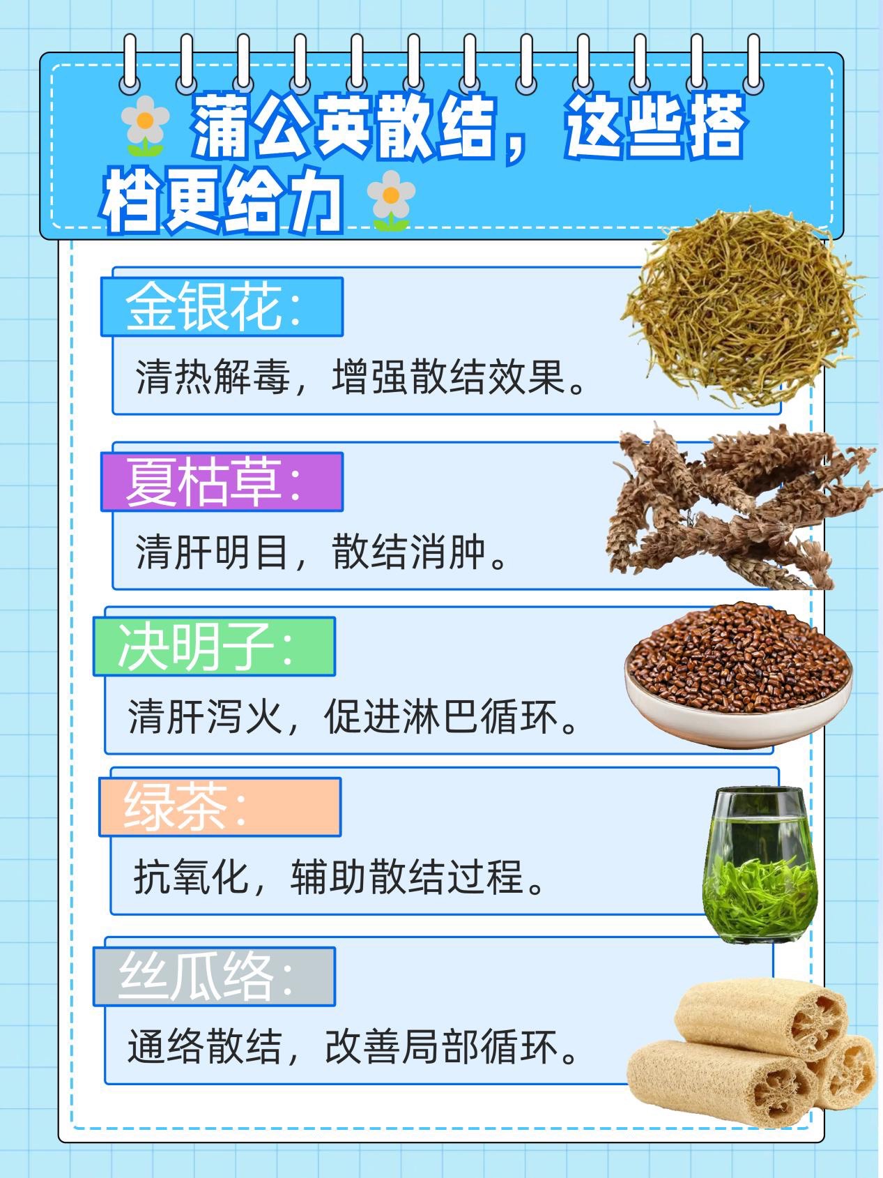 蒲公英搭配大全图片