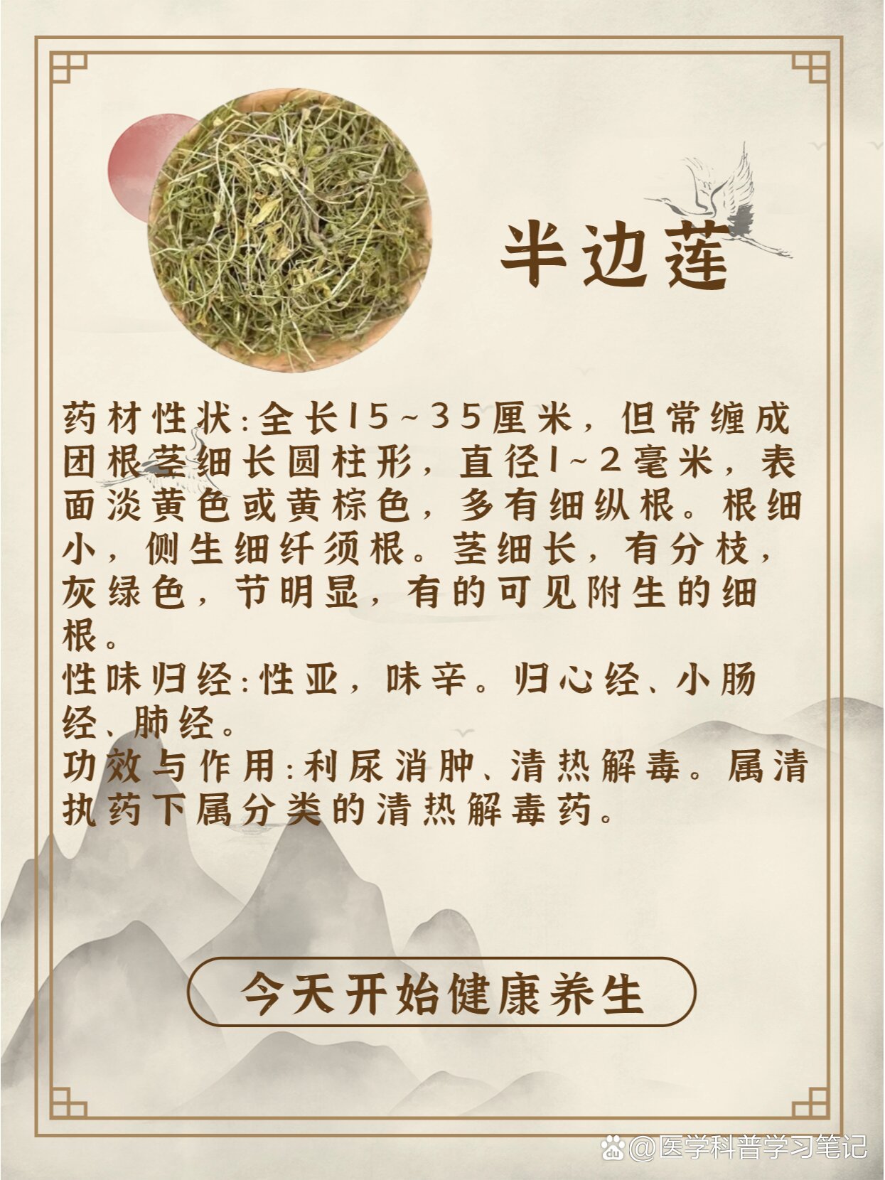 每天认识一味中草药