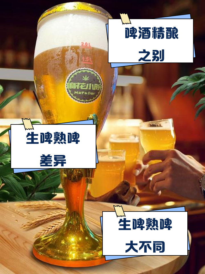 喝生啤好还是熟啤好