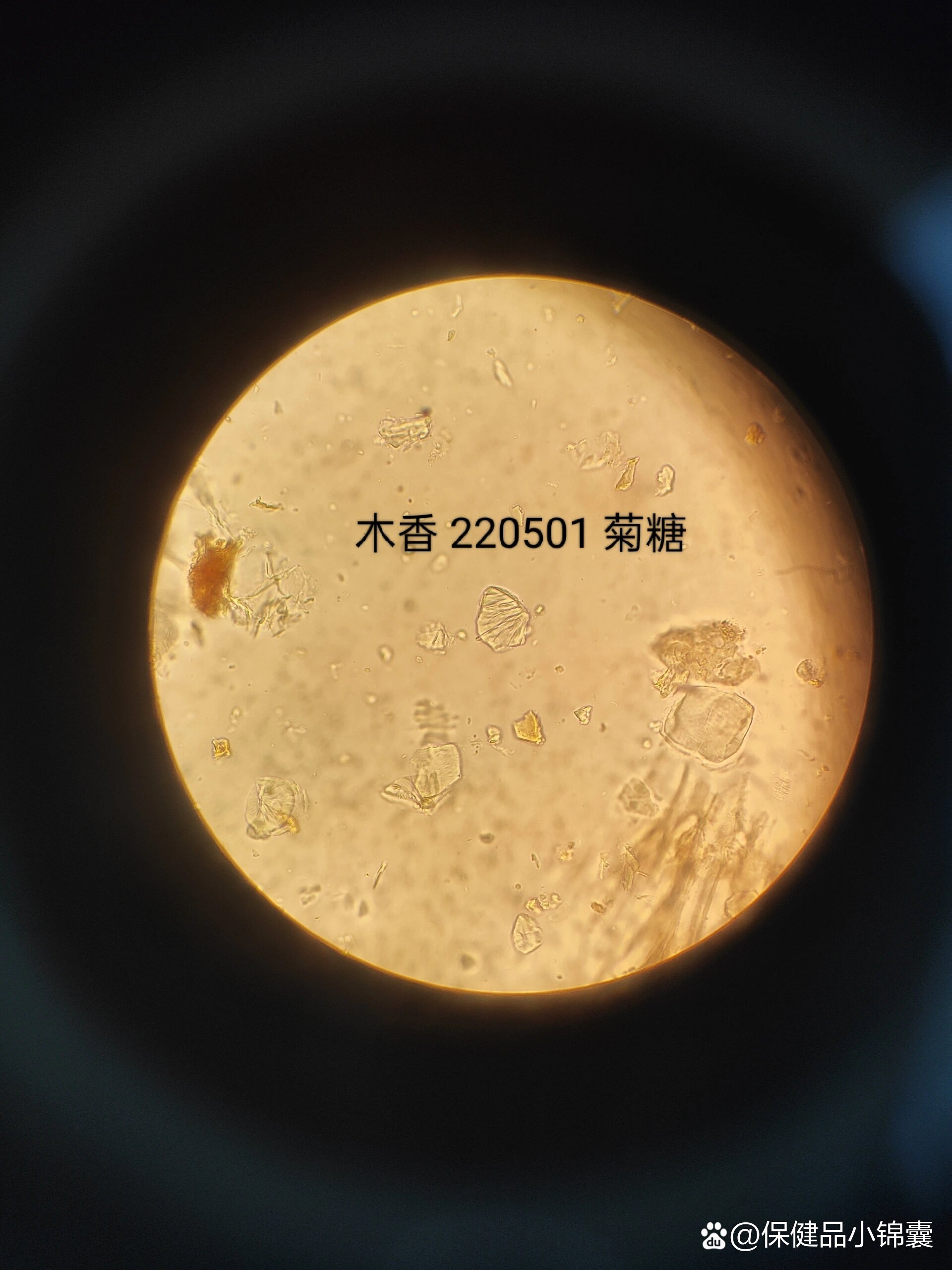 中药显微—木香