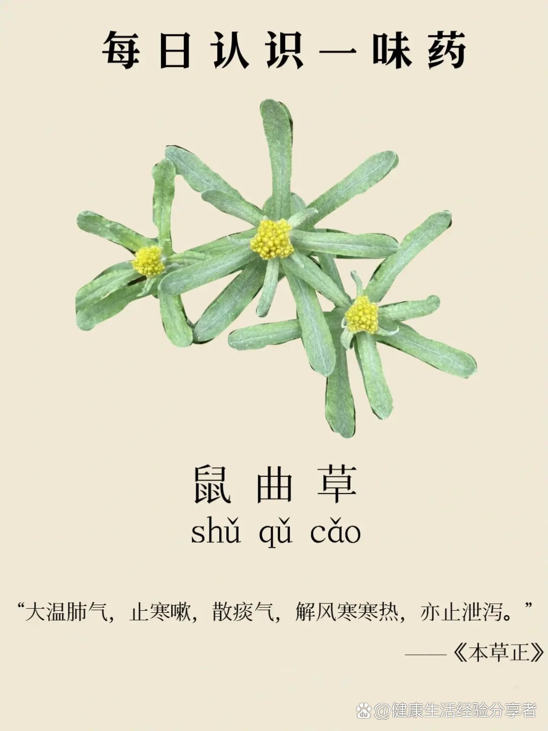 每天学习一味药