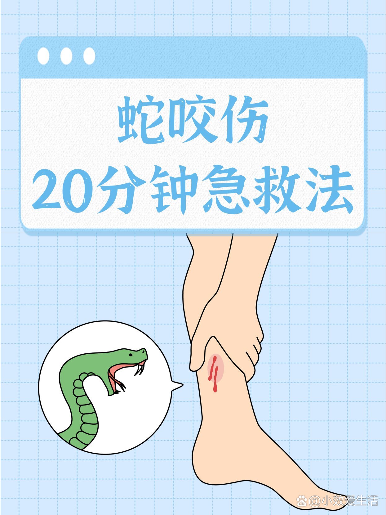  br>每年夏季,毒蛇出没频繁,也正是蛇咬伤的高发期,尤其是暴雨前后