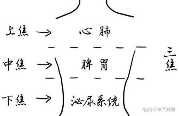 中医学 “辨三焦病证”——上焦病证