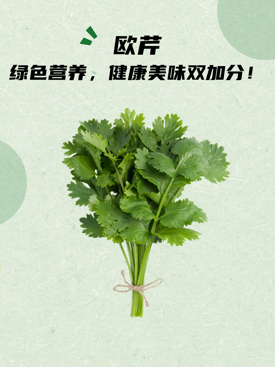 欧芹的功效与作用 全网资源