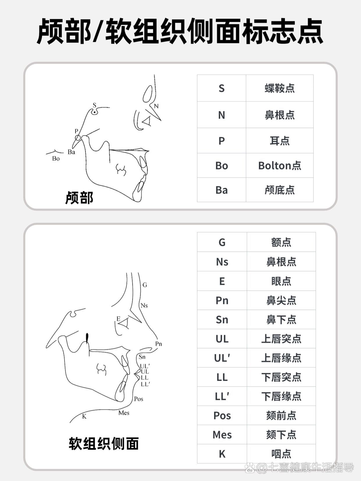 颅部和软组织侧面头影测量标志点