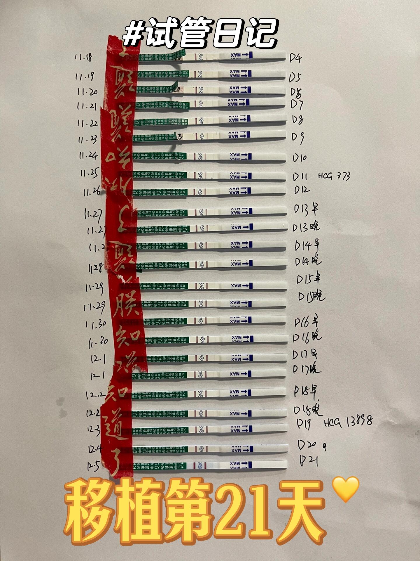 移植后试纸变化图图片