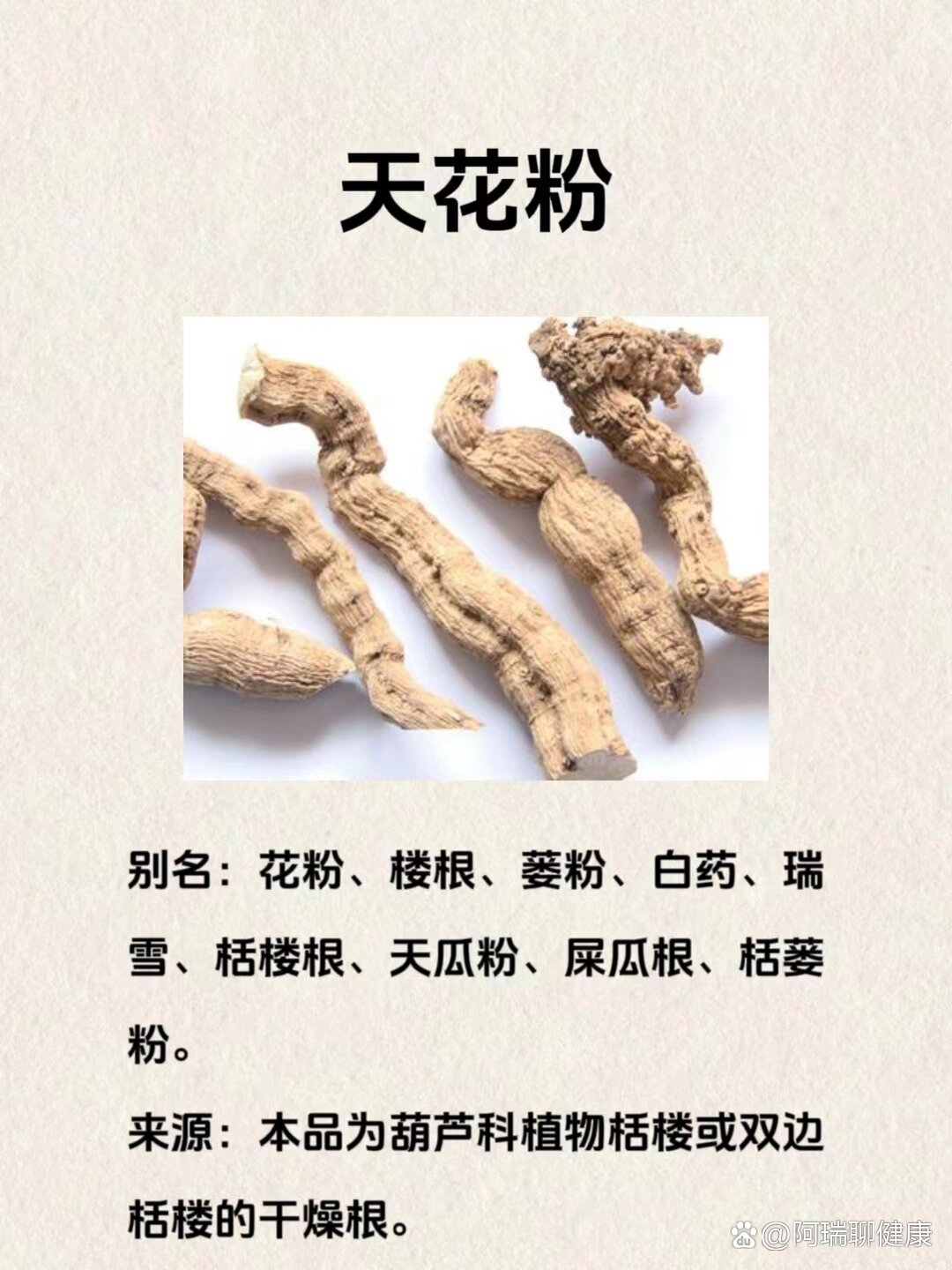 每天懂一味中药材 天花粉