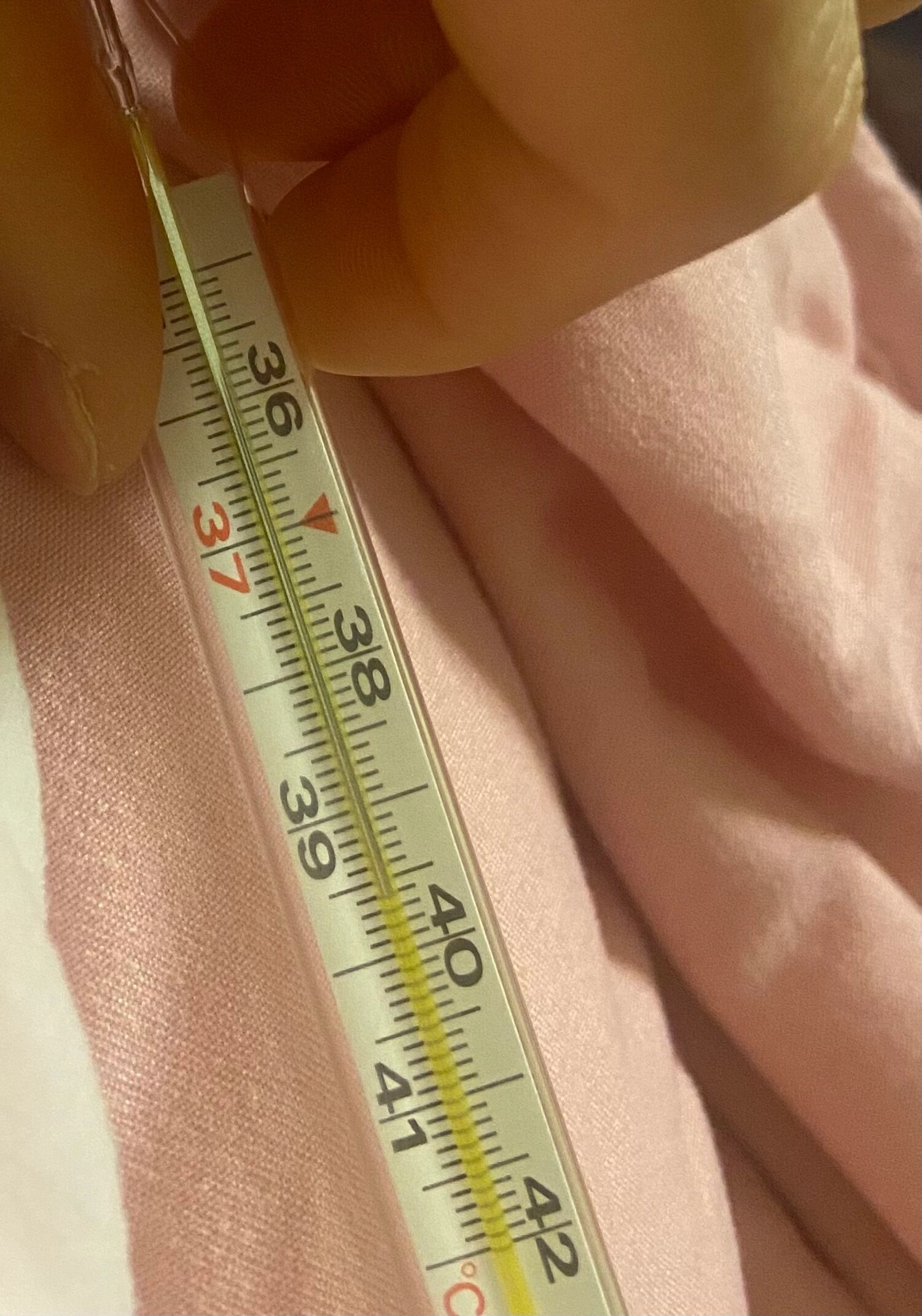 为什么高烧39.5度额头不烫