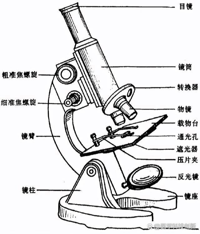 这是显微镜的各部分名称