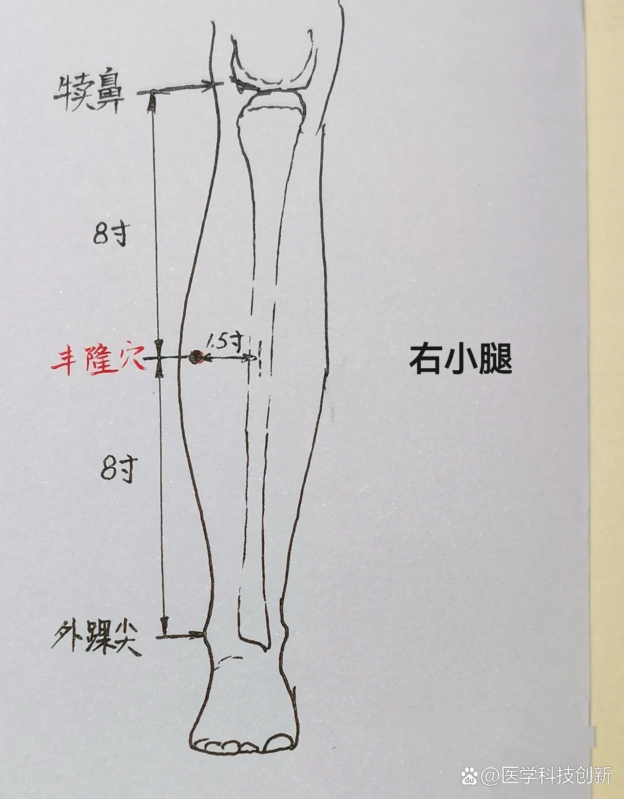 丰隆准确位置及作用图片