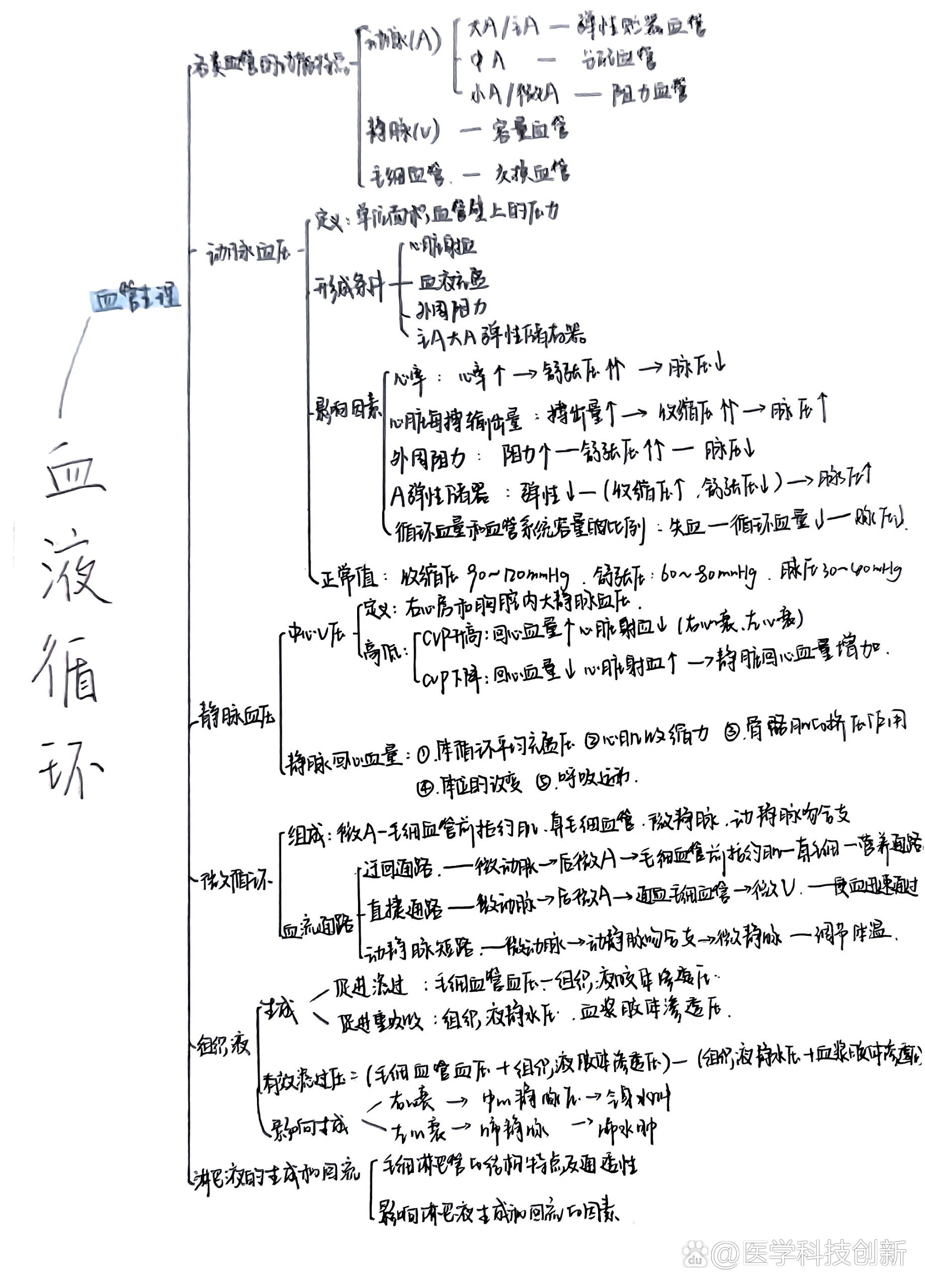 初中血液思维导图图片