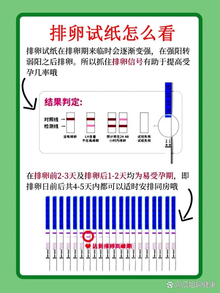 排卵试纸怎么看