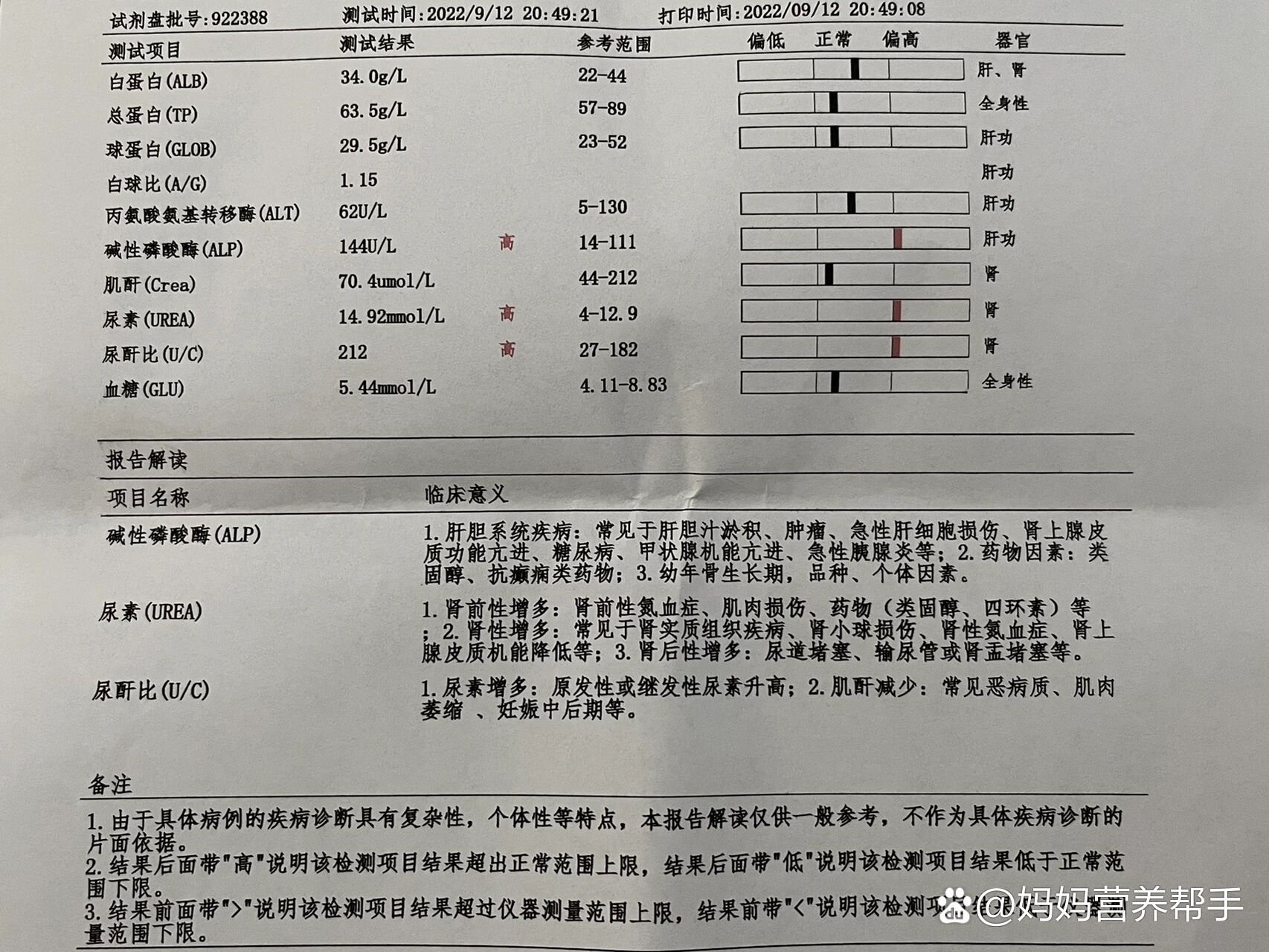 猫正常白球比图片