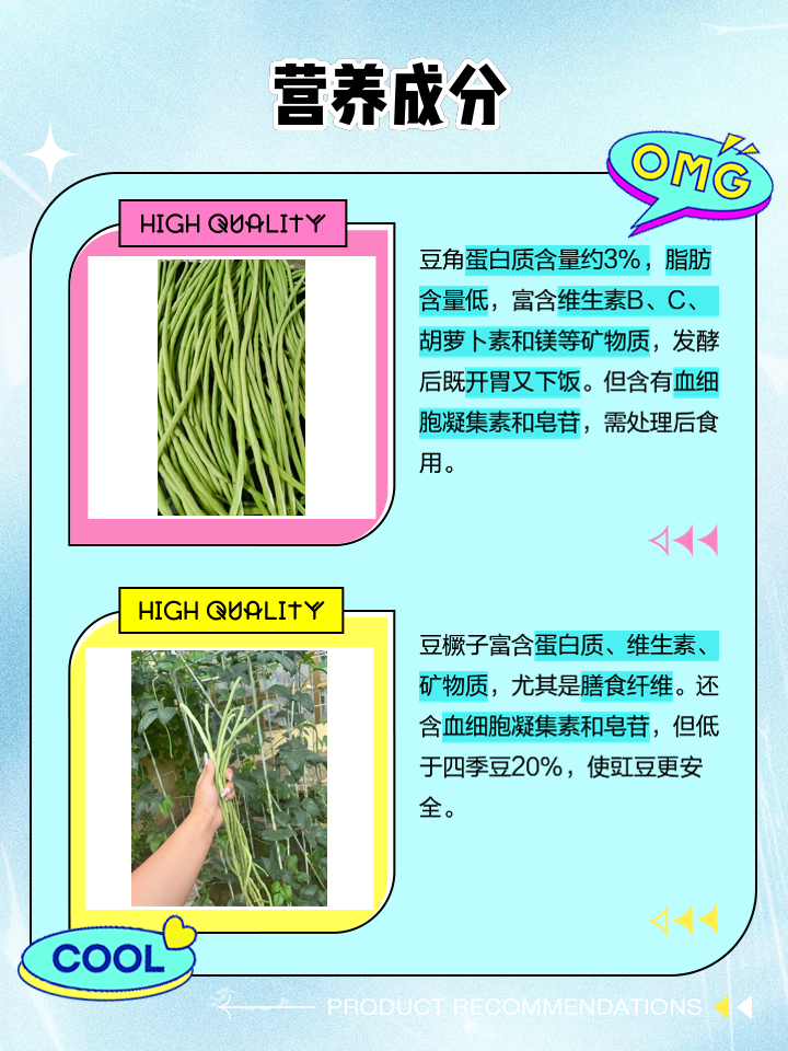 豆角和豆橛子的区别
