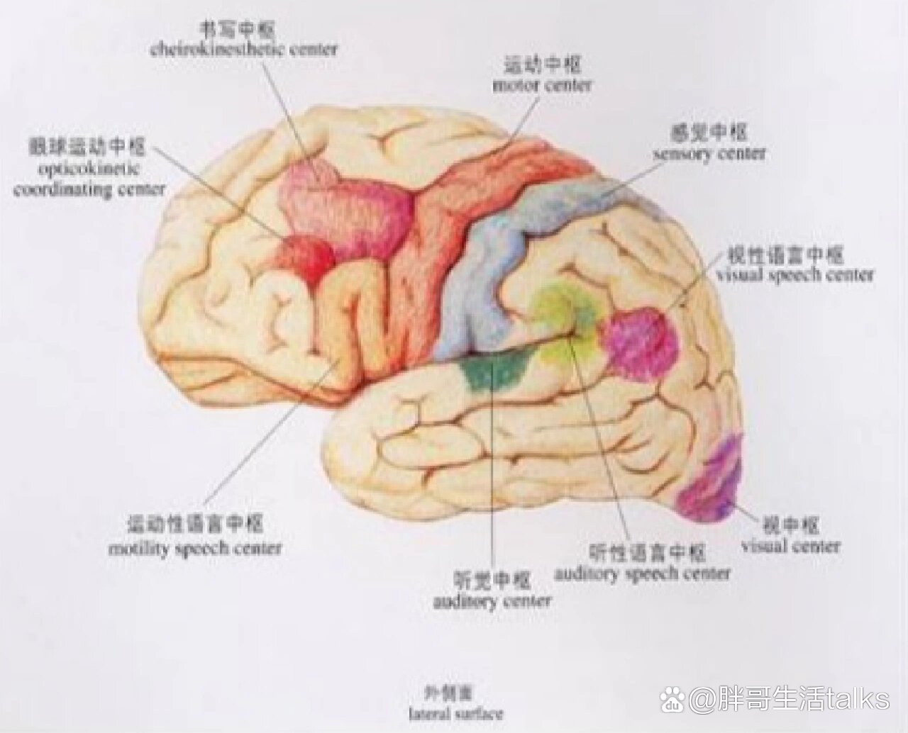 失语病人指示图图片