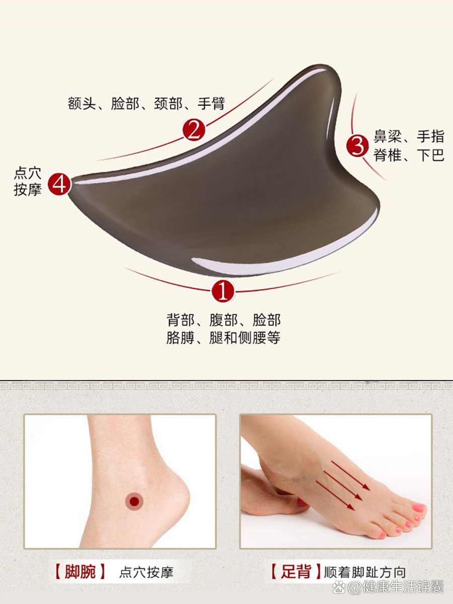 腿部刮痧示意图图片