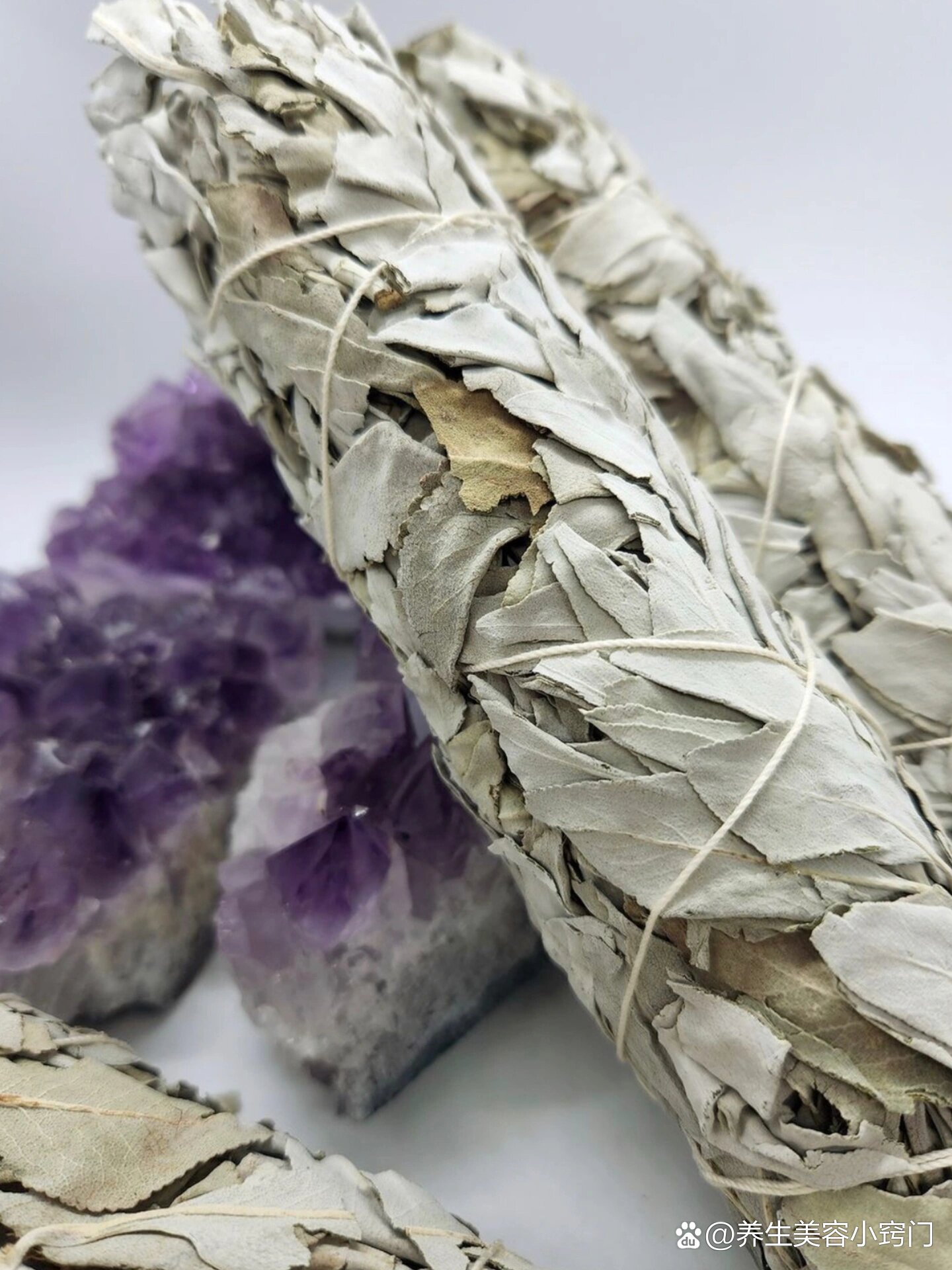 从中医的角度来看白鼠尾草的作用