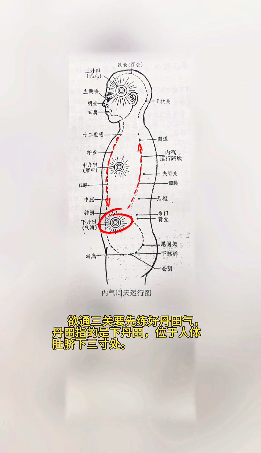 小周天功：任督二脉的奇妙之旅