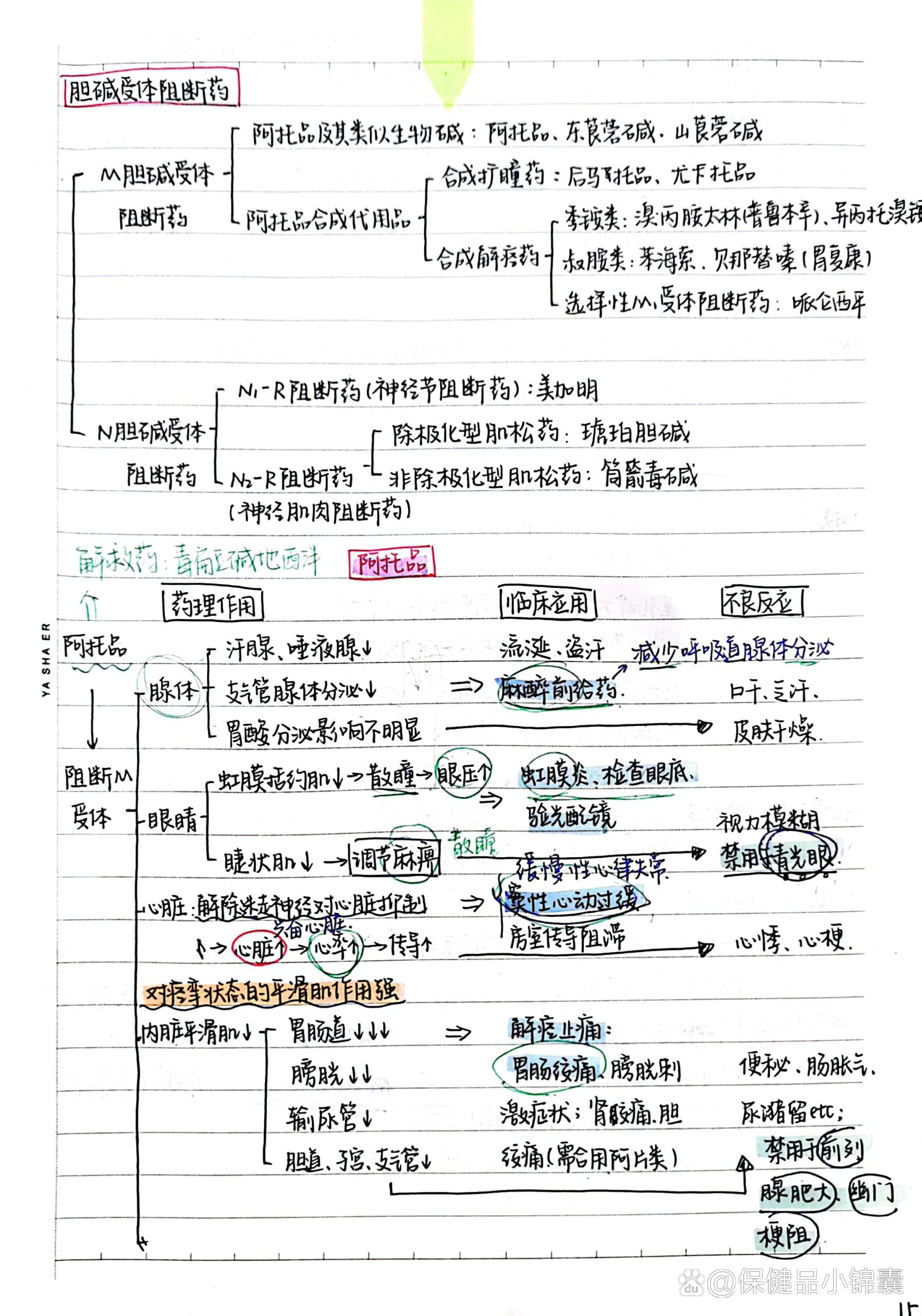 药理学思维导图第六章图片