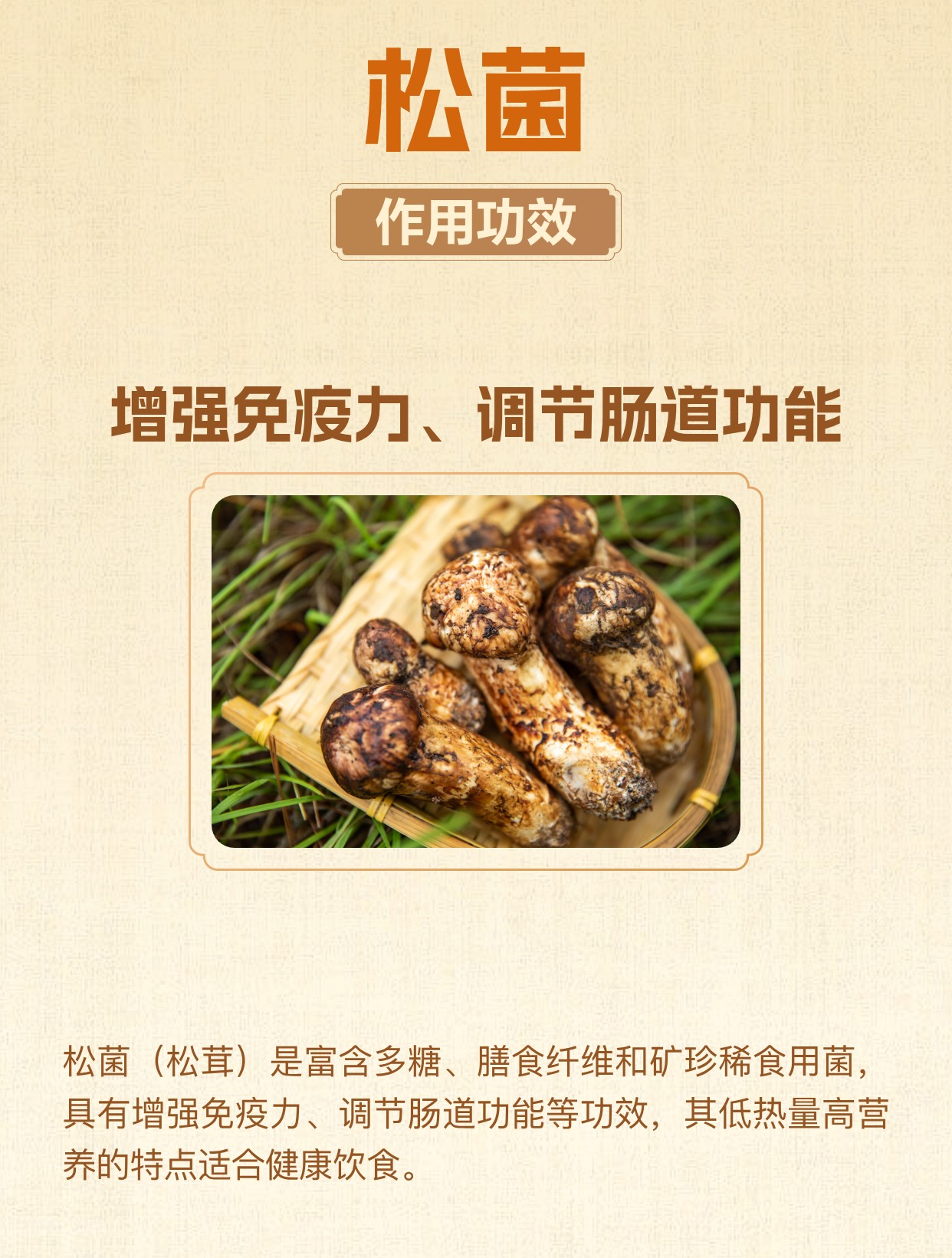 松菌的营养价值与功效 | 百度健康·医学科普