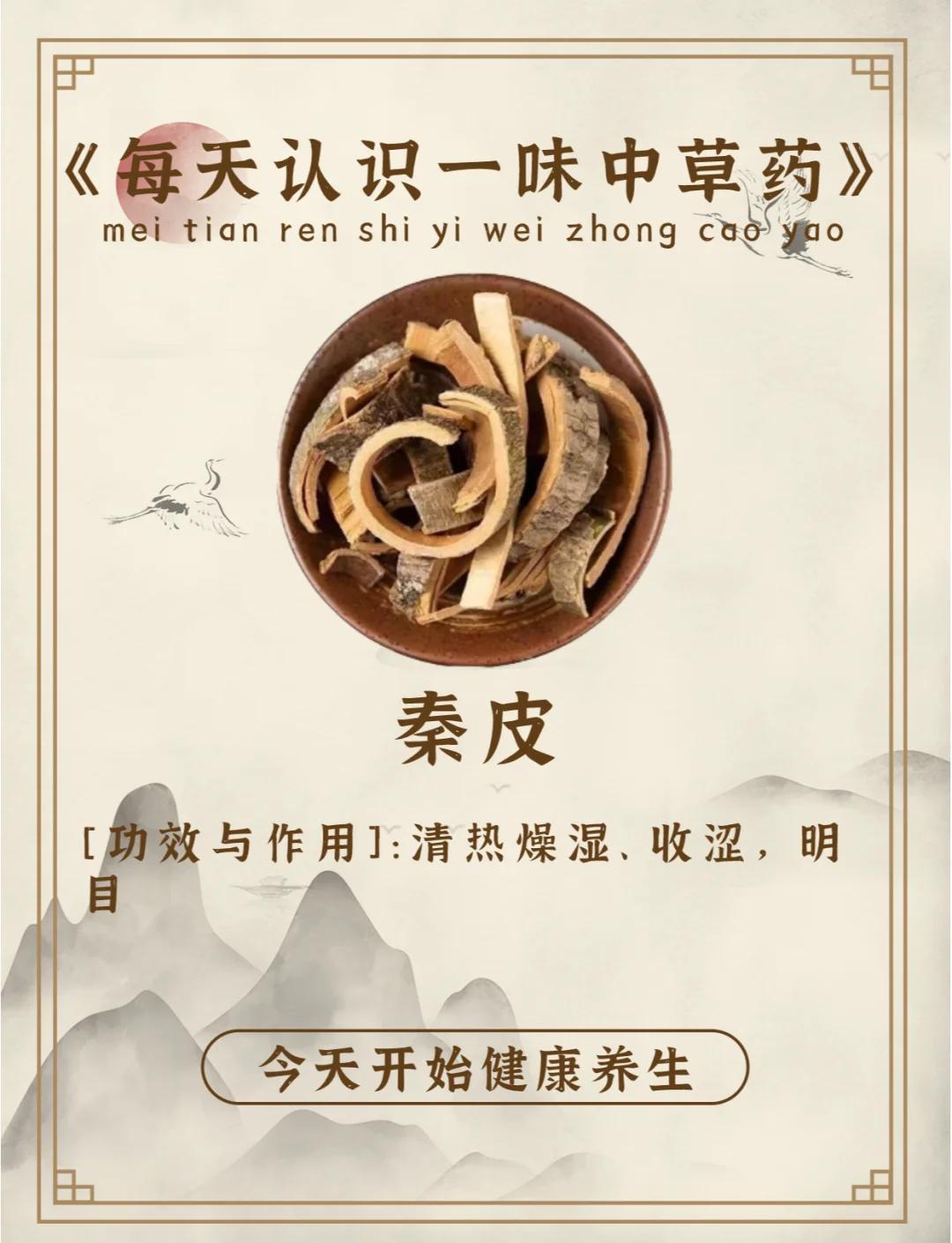 每天认识一味中草药——秦皮