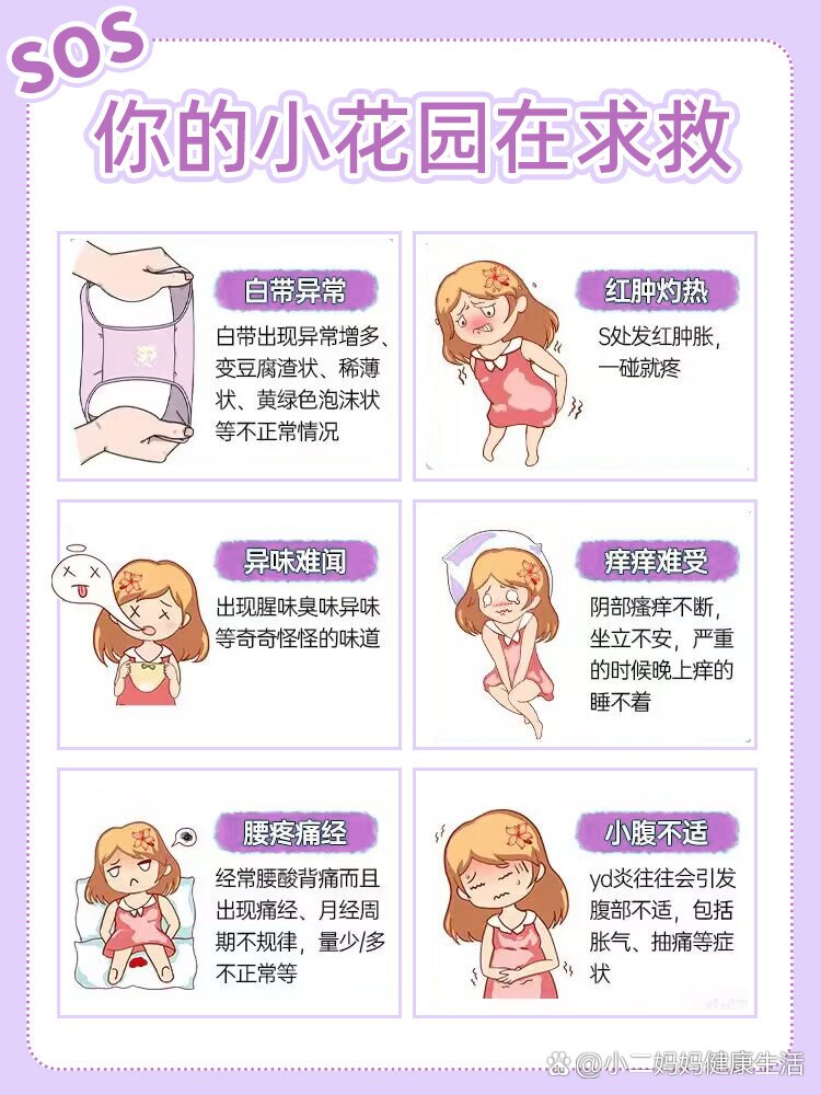 女人下面有几种图片