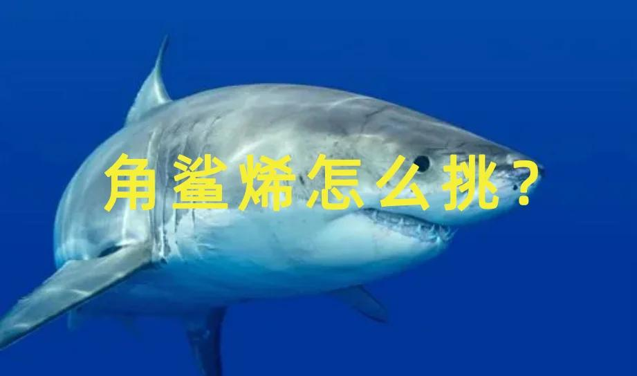 角鲨烯选购必看！